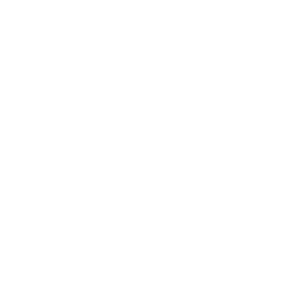 UA White Logo